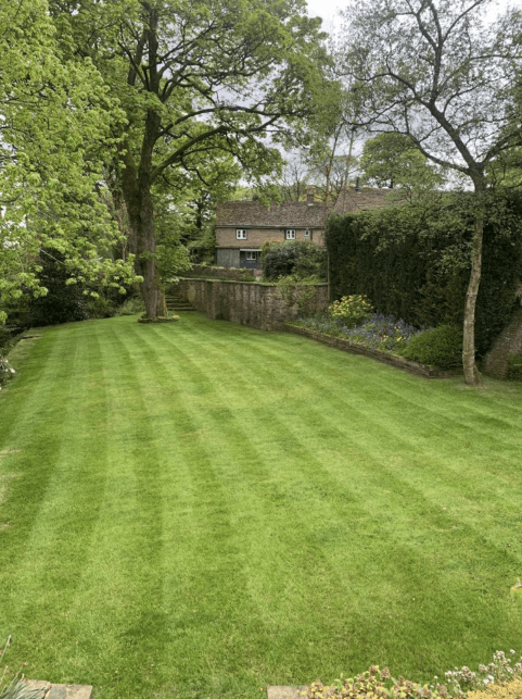 Garden services in Ashton-under-Lyne