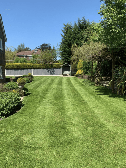 Garden maintenance and landscaping work